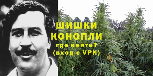 2c-b Балабаново